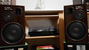 Pioneer S-1300DV.   Fausto Mesolella