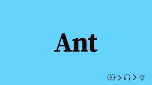 Ant Pronunciation and Meaning