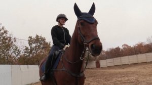 Севастопольские спортсменки завоевали призовые места на международных соревнованиях по конному спорт