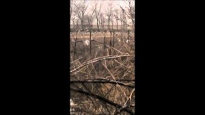 Экологическое бедствие Алматинская обл., Байсерке