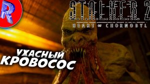 🔥🎮В ПОИСКАХ АРТЕФАКТОВ🕹️ ▶ S.T.A.L.K.E.R. 2 СЕРДЦЕ ЧЕРНОБЫЛЯ НА ПК ДЕНЬ 3