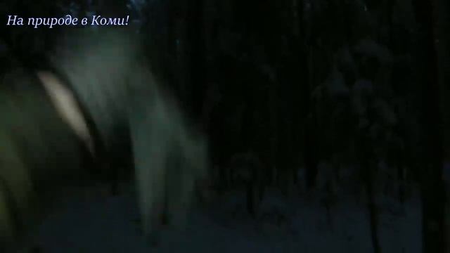 Первый поход до избы на лыжах /1 серия/