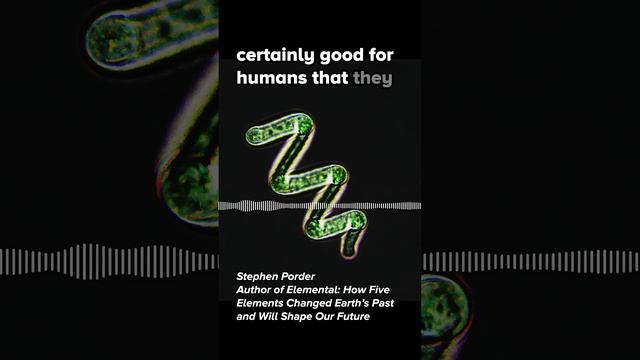 Cyanobacteria and oxygen