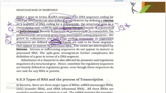 Transcription-Molecular Basis of Inheritance | NCERT Decode-04 | Class12 Biology | By-Sanjay Kumar