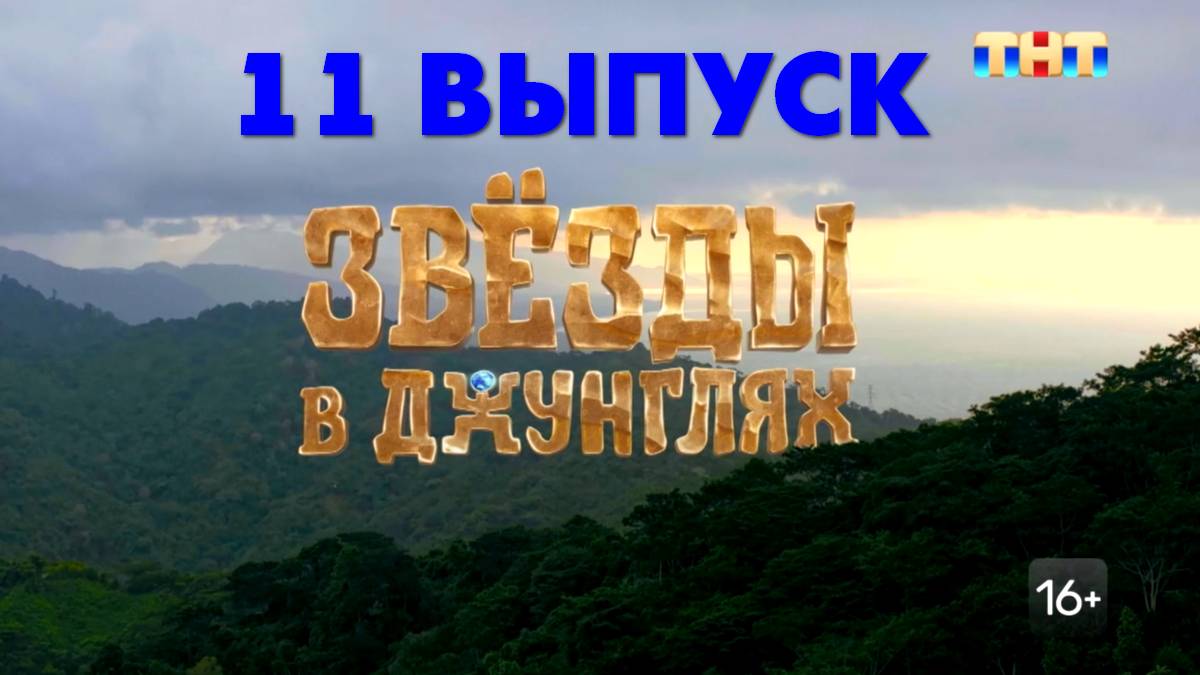 Звезды в джунглях 2024 5 выпуск рутуб
