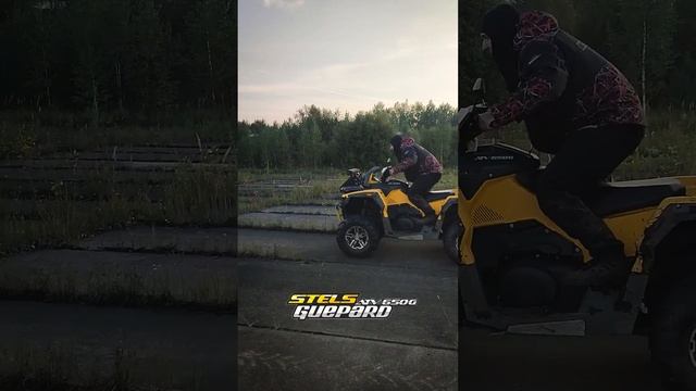 650 слабоват для станта. Пытаемся поставить #atv #квадроциклы #guepard650 смотреть онлайн