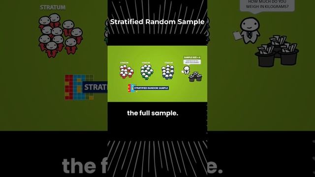 Stratified random sample | Sampling | Statistics |The Statisticians