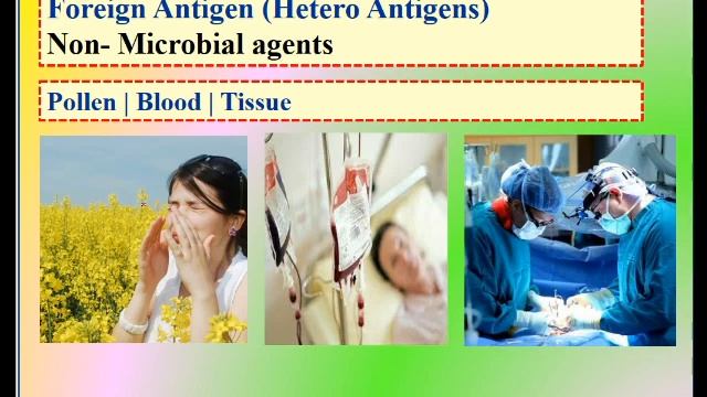 Antigen | Epitope | Antigenic Determinant | CSIR NET LIFE SCIENCE | JK Biology