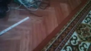 Цветомузыка на МК АТМ8 + LM358 обзор