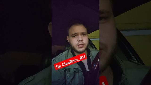 Олени и противотуманки #clearain #auto