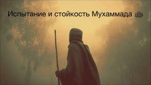 Испытание и стойкость Мухаммада ﷺ
