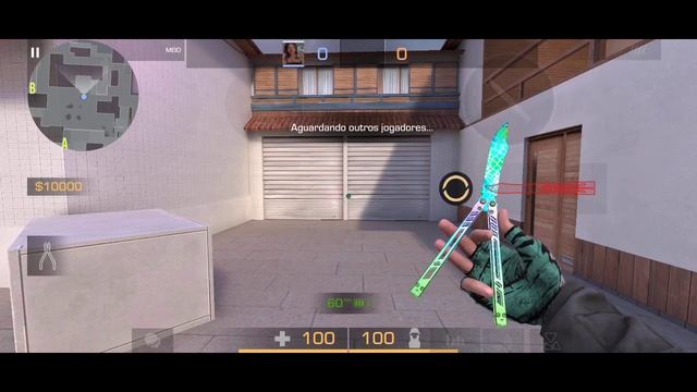 GLOVES FOSSIL + BUTTERFLY "SAPHIRA" - STANDOFF 2 0.28.1 смотреть онлайн