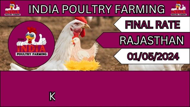 01/04/2024 आज भारत में ब्रॉयलर का रेट | Broiler Rate In India Today #broiler #poultry #India #chick смотреть онлайн