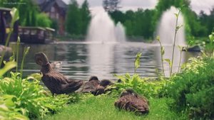 2 часа 4K-красивого мира с высоты птичьего полета!...