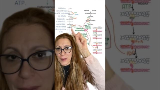 Bioquímica não é o “bicho de sete cabeças”! смотреть онлайн