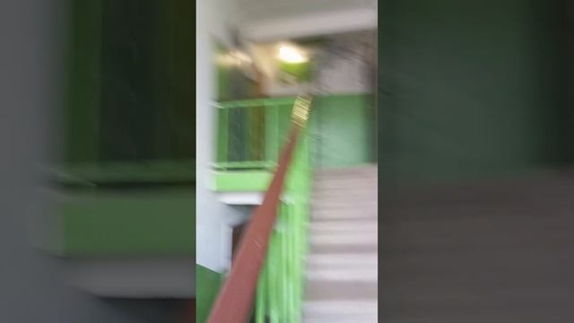 (я вернулся, и исправлено) обзор на подъезд г Тула ул. Кутузова смотреть онлайн