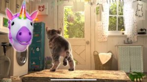ПРИКЛЮЧЕНИЕ МАЛЕНЬКОГО КОТЕНКА мультфильм про котят Радугарог мультик для детей мультики на #ММ
