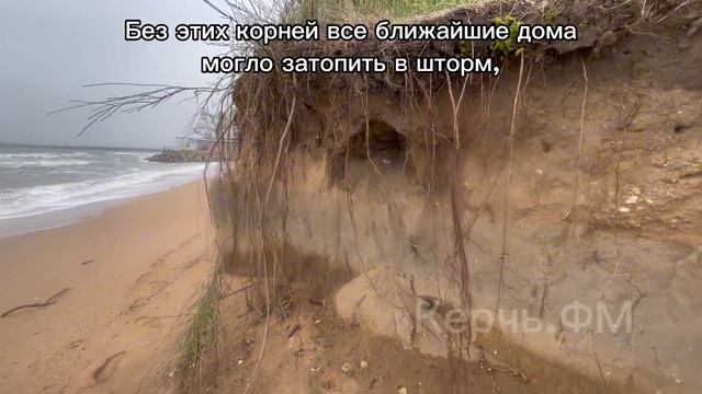 Природа в Керчи открыла выставку для строителей и проектировщиков берегоукрепительных сооружений