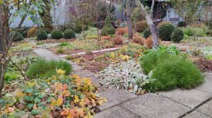 Пересадки в розарии, что, куда и почему сажаю. 23.11.2024 г. Пятигорск #южныйсад#розынаюге#rosa