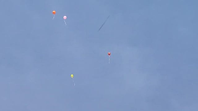 sky fish в полёте россия краснодар