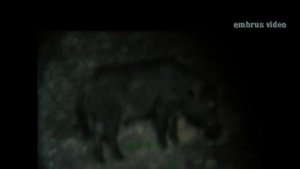 Yukon Photon 4.6x42 L /Night vision