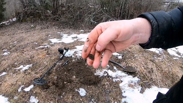 Неделя за 20 минут. Находки и что увидел интересного в лесах Карелии.