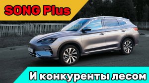 BYD Song Plus Champion edition. Познакомься и ты его захочешь!