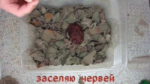 Субстрат для червей из картона