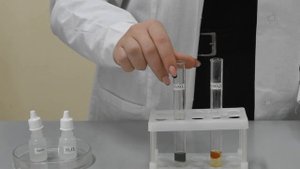 Качественное определение катионов железа 2+ и 3+