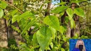 Муж не вернулся от любовницы и прислал документы на развод. Но когда жена увидела...