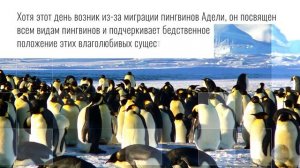 Всемирный день пингвина.  В МИРЕ ЖИВОТНЫХ. ДЕНЬ В ИСТОРИИ. СПАСЕНИЕ ПИНГВИНОВ! Пингвины. 25 апреля.