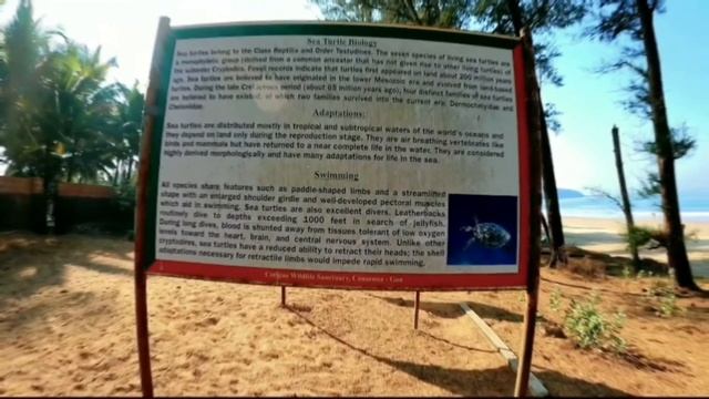 Secret of Goa I Palolem Beach 2023  | South Goa Vlog | Agonda Beach 2023 #southgoa #palolembeach