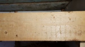 Домашние куры