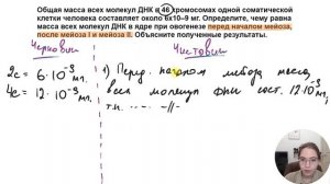 Задачи на массу ДНК и зоны гаметогенеза.