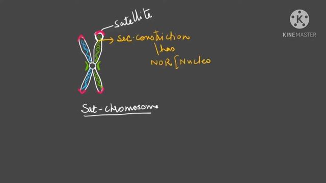 Chromosome (Cell biology) #cbsebiology #neetbiology #cellbiology #genetics#apbiology #ibbiology