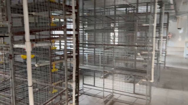 Ферма по выращиванию птицы