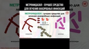 Метронидазол - лучшее средство для лечения анаэробных инфекций #метронидазол #инфекция #бактерии