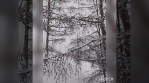 Ягодное, Магаданская область, 03.01.2022г., -28