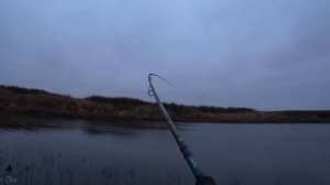 Рыбалка в Ноябре! Ловля хроших ЩУК на спиннинг с берега!