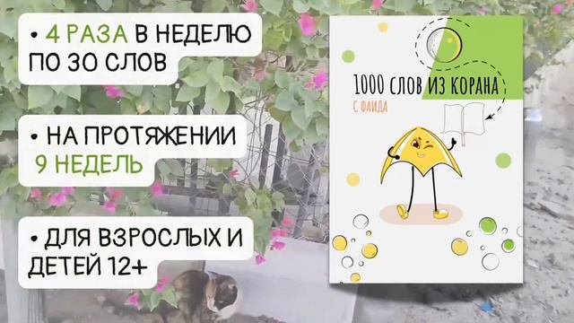 Бесплатный Марафон По Заучиванию 1000 Слов Из Корана