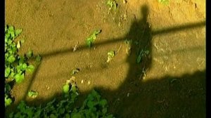 Нафкат Нигматуллин - Мама»