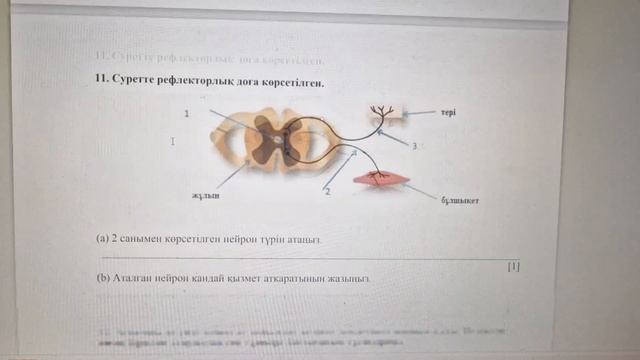 Биология 7 сынып.3-тоқсан.ТЖБ жауаптары. смотреть онлайн