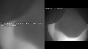 Реакция Шаранутого Космоса. [Реакция ШК на ТТ] RU/UK