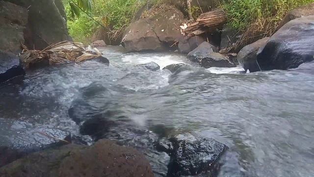 Water Sounds Soothes The Heart (Relaxation,Meditation,ASMR) смотреть онлайн