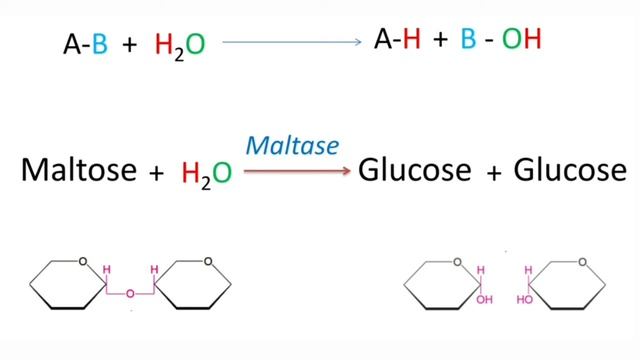 Classification of Enzymes ll Definition ,General reaction & Examples of each class of enzyme