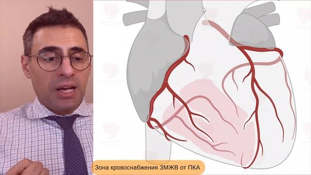 Лекция №9 Кровоснабжение стенок сердца смотреть онлайн