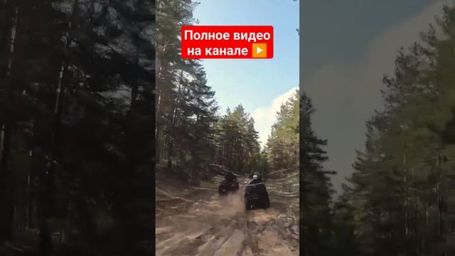 Мчимся по лесу #квадроциклы #atv #shorts смотреть онлайн