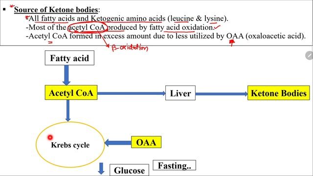 Ketone body synthesis | Ketogenesis | Formation of ketone bodies | Synthesis of ketone bodies
