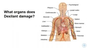 Dexlansoprazole Side Effects, Dexilant Side Effects