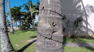 Garden surprise at the Mandara Resort Mirissa - Sri Lanka 2021